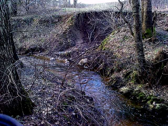 P060211_15.070001.JPG