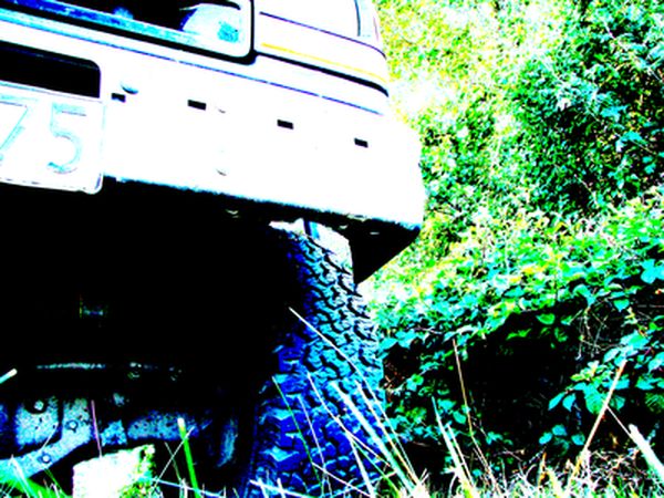 DSC0880600000000000.jpg