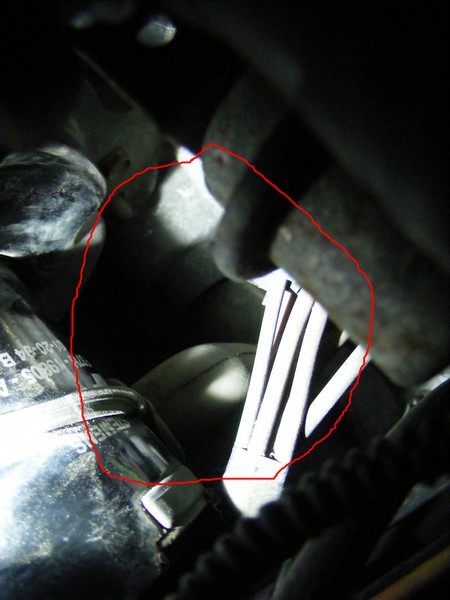 DSCF5958.JPG