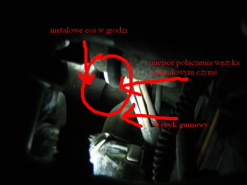 DSCF5960.JPG