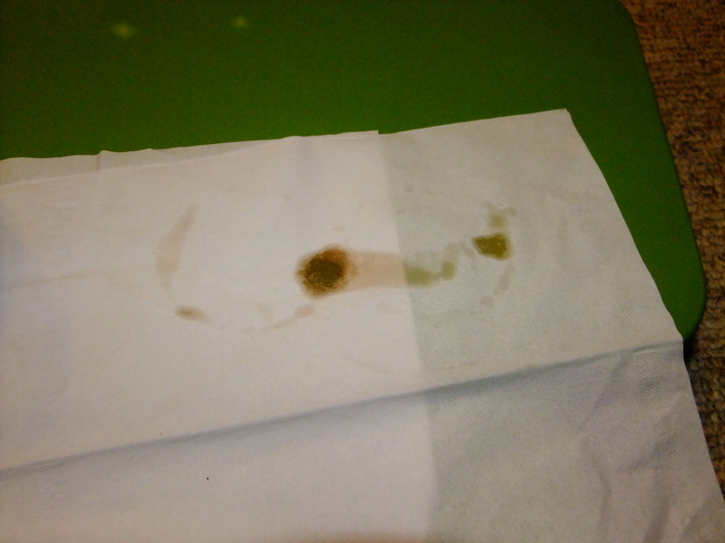 DSCF4556.jpg