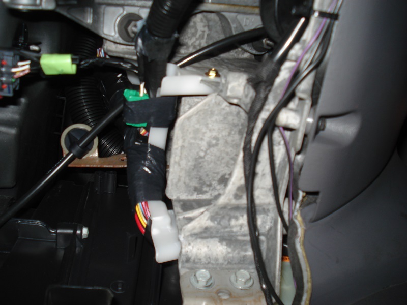 DSC09969.JPG