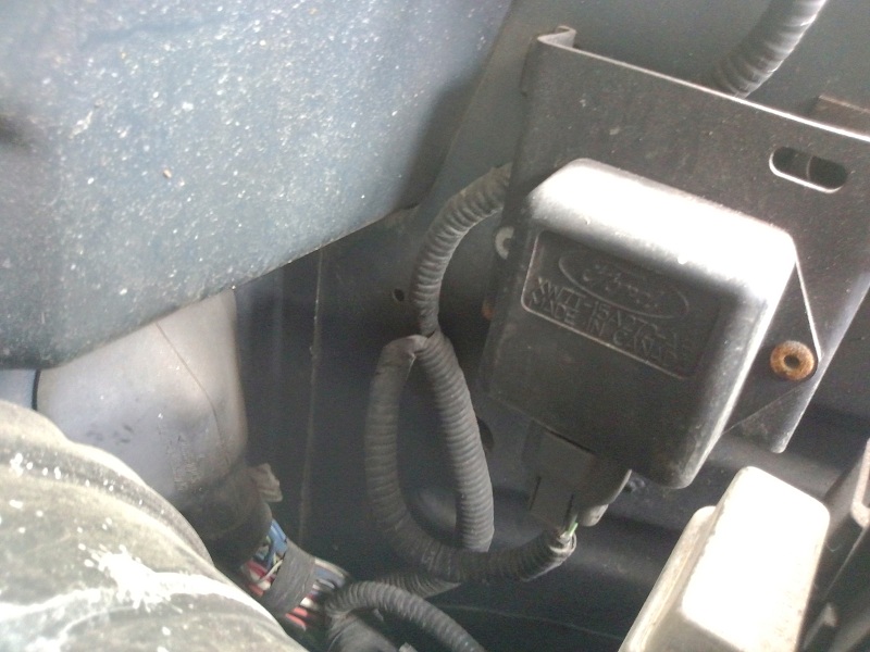 P1000012a.jpg