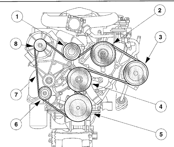 Pasek w SOHC.jpg