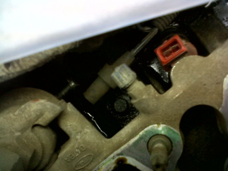 IMG-20131019-01236.jpg