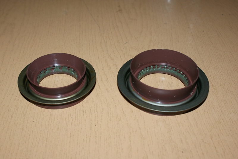 DSC08665.JPG