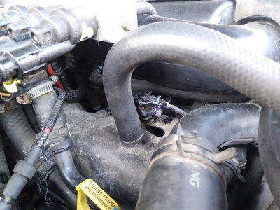 20170901_183310.jpg (539.19 KiB) Przejrzano 13420 razy 20170901_183310.jpg