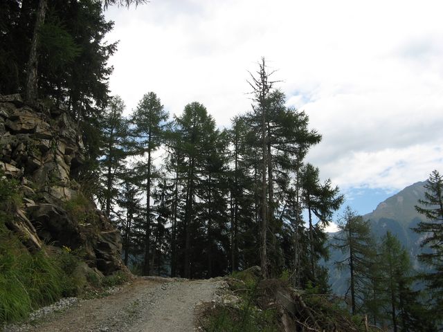 2008_alpy_taury_011.jpg