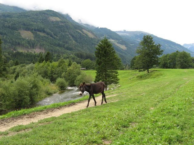 2008_alpy_taury_034.jpg