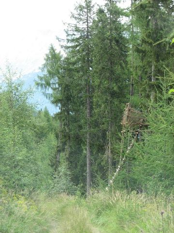 2008_alpy_taury_042.jpg